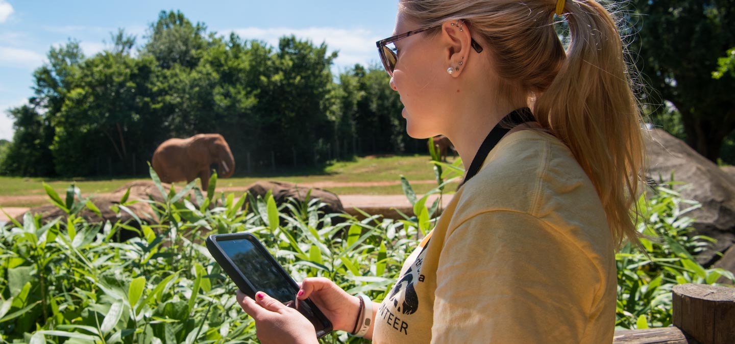 Internship Opportunities | North Carolina Zoo Internship Opportunities | North Carolina Zoo