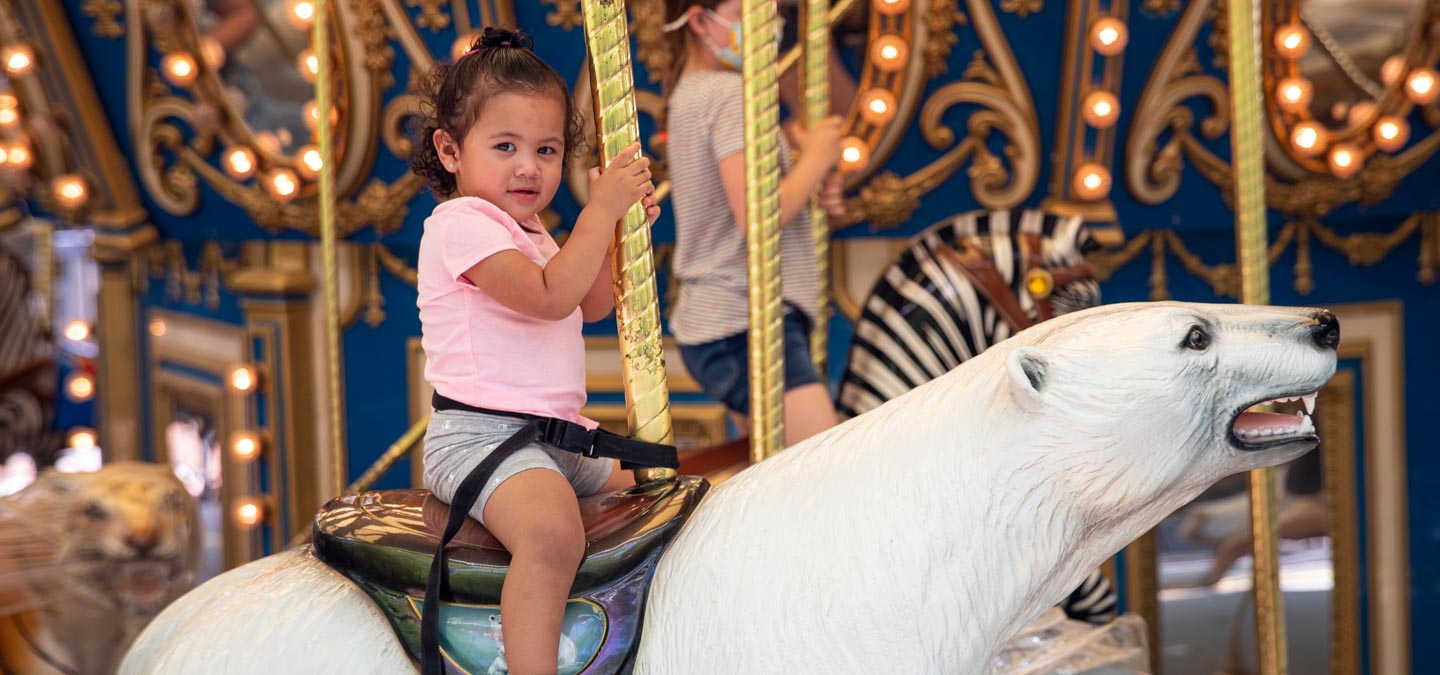 Carousel North Carolina Zoo