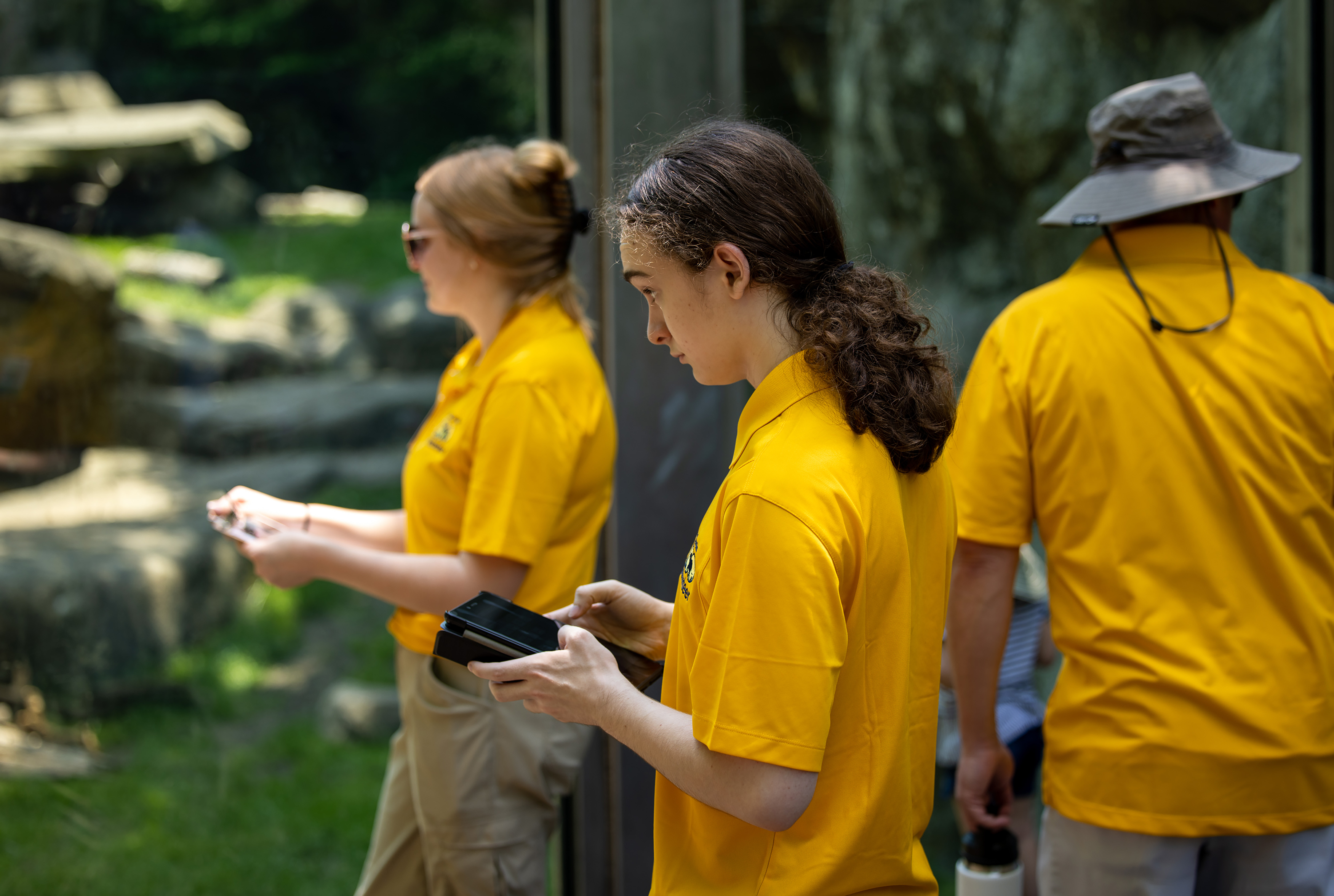 Grizzly Bear Has a New Home at North Carolina Zoo | North Carolina Zoo