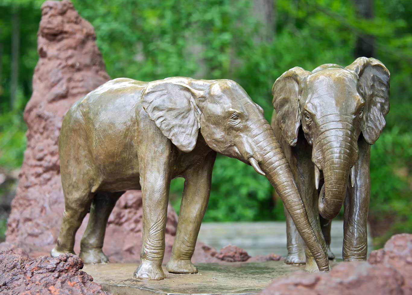 Elephants as I.D. | North Carolina Zoo