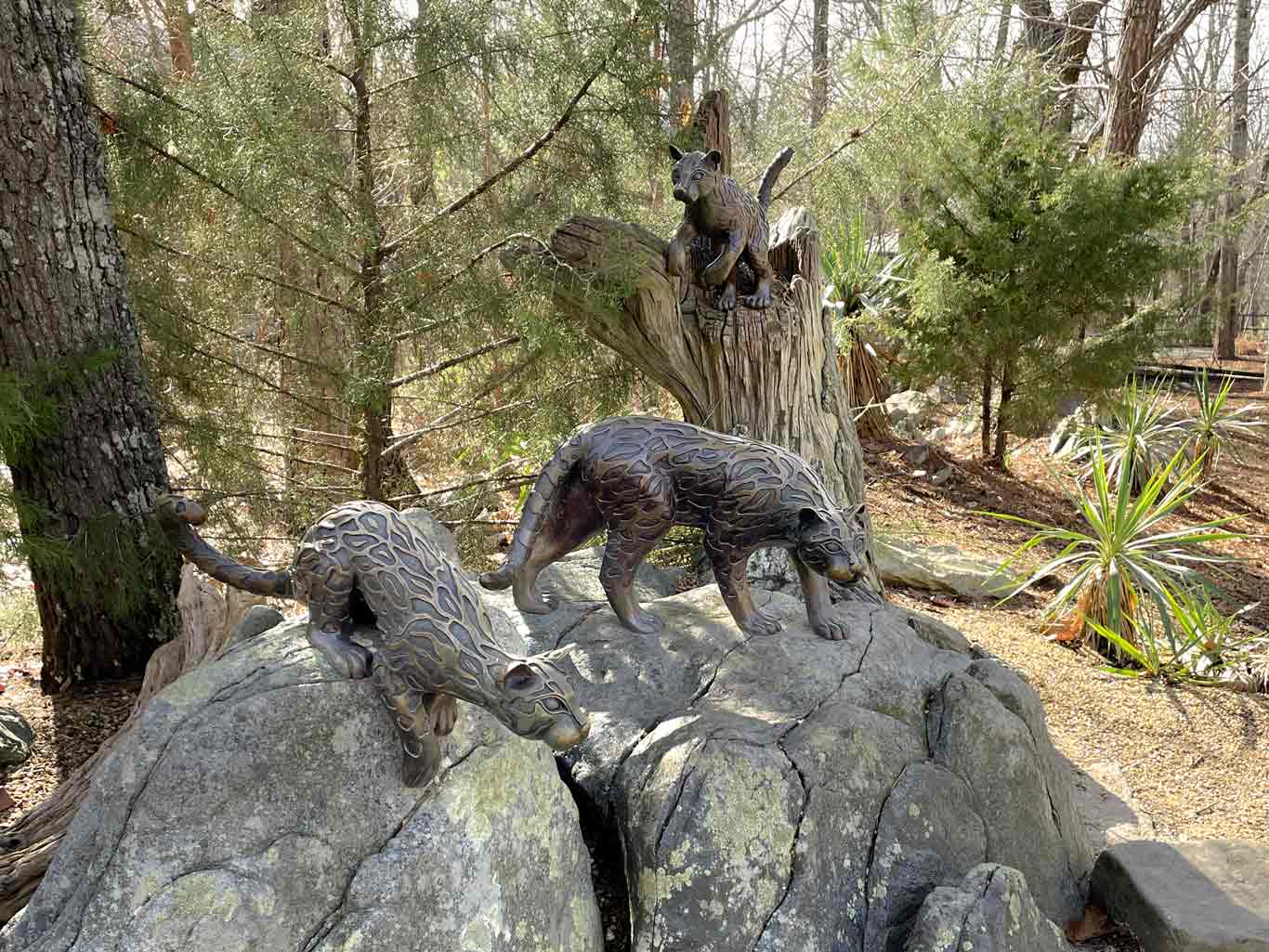 The Family that Preys Together | North Carolina Zoo