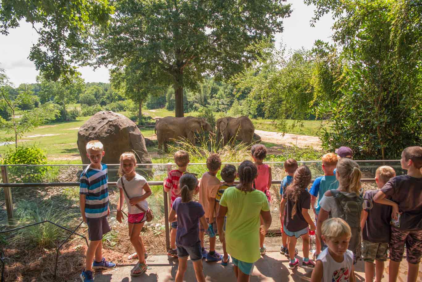 A Trip To The Zoo A Trip To The Zoo