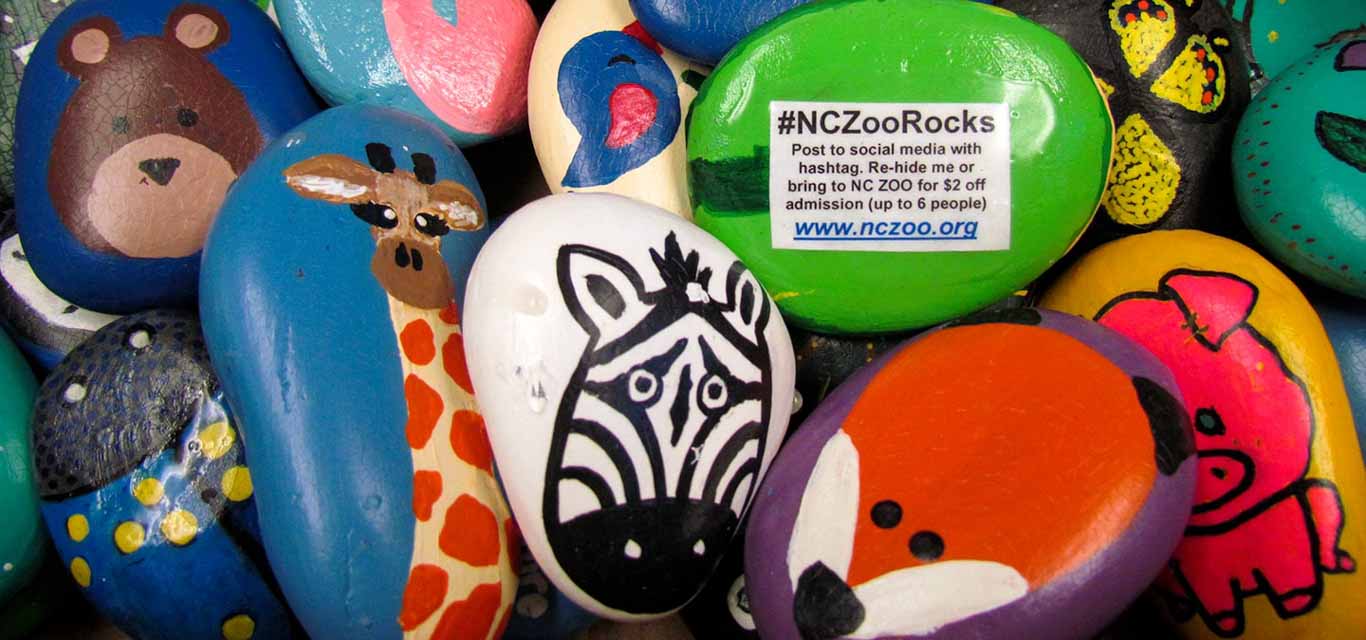 NC Zoo Painted Rocks | North Carolina Zoo