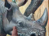 Close-up of Rhinoceros as part of a larger acrylic mural depicting the African savanna.
