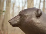 An up close view of the face of a bronze bear statue.