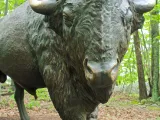 A life-sized bronze statue of a Bison that showcases its shaggy, furry body and its short, upturned horns as it stands in a mulched area surrounded by trees.