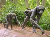 A Chimpanzee troupe consisting of thee bronze statues- one is a larger male Chimpanzee with a small baby hanging onto its back and the other is a smaller female Chimpanzee that is following behind them. They are posed to look as if they are walking through a forest, as they are surrounded by trees and shrubs.