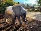 A bronze statue of a baby Elephant standing in a mulch covered flower bed next to some tall grasses and a bush. The glass and handrails of an animal habitat is visible in the background.