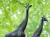 A bronze statue of two Giraffes standing proudly together, looking in different directions. There is a canopy of trees in the background.
