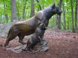 A life-sized bronze statue of a majestic Lioness poised on a rock while her Lion cub stands bravely next to her in the middle of a clearing in the woods.