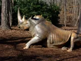 A life-sized bronze statue of a White Rhinoceros that looks like it is trying to stand up from a laying position on the mulch covered ground. There is a large dark green bush and lots of trees in the background.