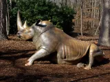 A life-sized bronze statue of a White Rhinoceros that looks like it is trying to stand up from a laying position on the mulch covered ground. There is a large dark green bush and lots of trees in the background.