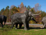 The Zoo's iconic elephant group sculpture in early fall, surrounded by vibrant green grass with autumn colors decorating the distant trees behind them.
