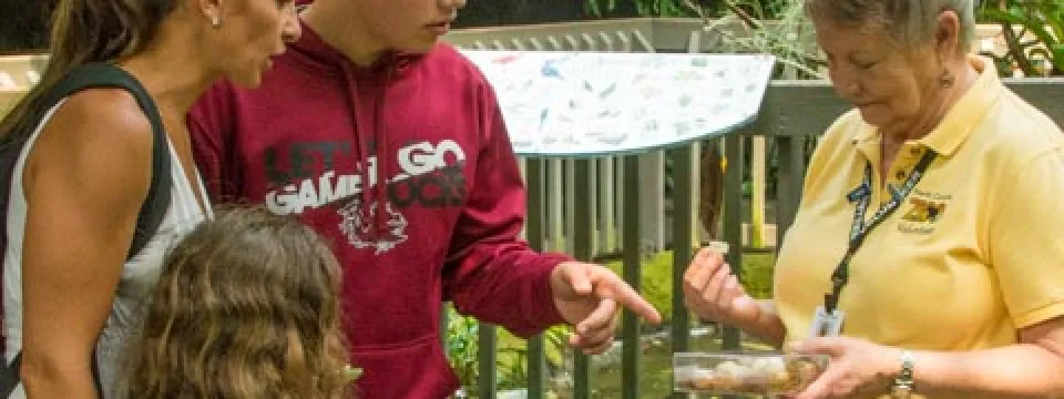 An older woman with short, grey hair, wearing a yellow volunteer shirt educates three guests including a middle-aged woman, a teenage boy and a young girl, about birds in the aviary. They are on a paved pathway surrounded by a large rock, handrails, and lush green trees.