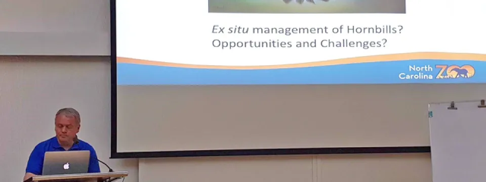 A presentation about the 'Ex situ management of Hornbills', including a picture of a hornbill in flight. A person is presenting at a podium in front of the screen. The presentation is branded with the North Carolina Zoo logo and the SEARCA logo.