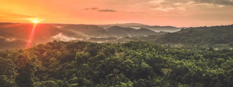 Danapa Nature Reserve from a birds eye view looking over the dense forest past the tree tops to a mountain range that is draped in light fog. In the background, the sun is just starting to dip behind the mountains, creating a breathtaking yellow, orange, and pink sunset.