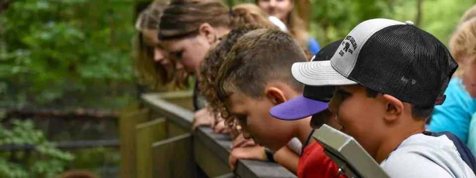 A group of children leaning over a wooden handrail down into a swampy wooded area. There are adults in the background, and the group is surrounded by trees.