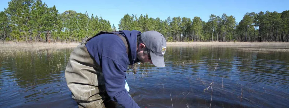 A person wearing a navy sweatshirt and green rubber waders, stands in the middle of a lake lined with trees. They are reaching down towards the water with blue latex gloves and a small container in their hands.