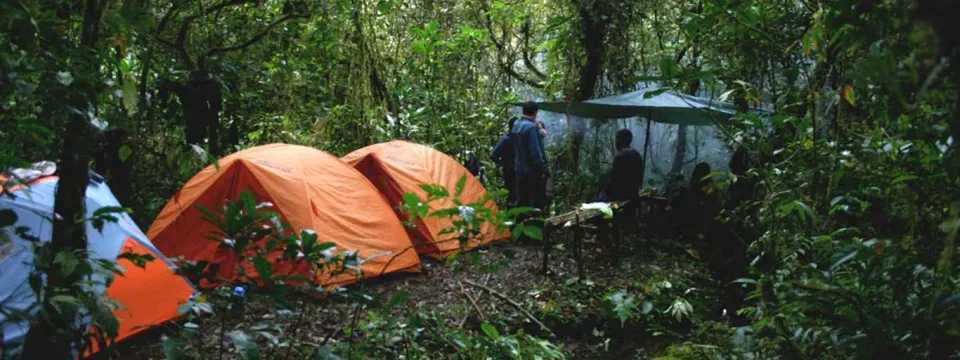 Two bright orange dome tents are set up in a dense, mossy, and lush green jungle or rainforest camp site. Several people are visible in the background near a white and green communal tent or tarp-covered area. The overall scene is dark and heavily shaded by the thick canopy.