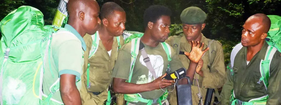 Five men, wearing matching short-sleeved green ranger uniforms and shoulder bags, stand close together in a dense forest or jungle environment. They are looking intently at a small electronic device, likely a smartphone or GPS unit, held by the man on the left. The ground beneath them is a dirt path, and lush green foliage surrounds them.