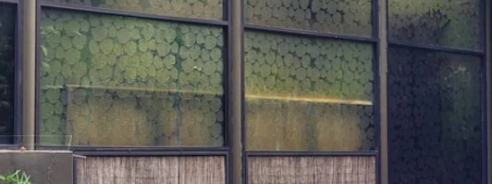  A long, glass-paneled building with a white fabric roof is shown with several flamingos standing in a small pool of water in the foreground. The glass panels have a translucent leaf pattern on them, obscuring the view into the building. T