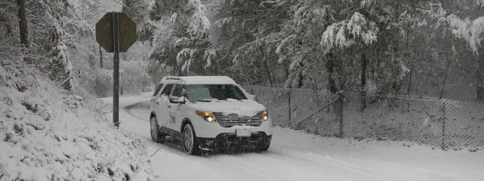  A white SUV drives down a snow-covered road, leaving tire tracks in the fresh powder. Trees lining both sides of the road are heavily laden with snow, creating a winter wonderland scene. A stop sign is visible on the left side of the road.