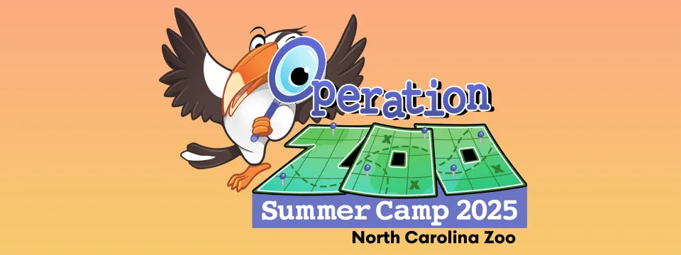 Logo art reading Operation Zoo - Summer Camp 2025, North Carolina Zoo, featuring a cartoon hornbill holding a magnifying glass and looking at a map.