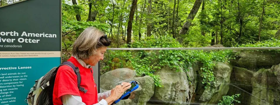 Zoo research volunteer holding an device to record information at the Otter habitat