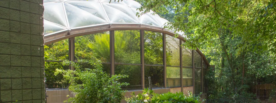 A wide shot of the exterior of the Zoo's Aviary.