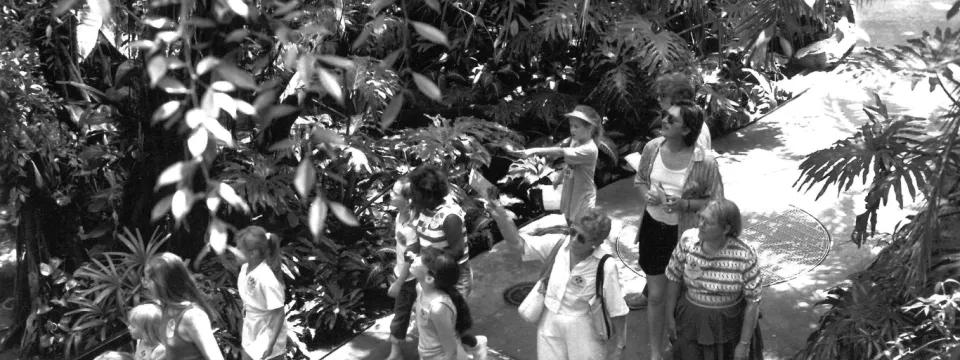A black & white shot of guests exploring the Zoo's aviary. 