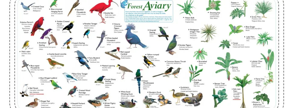 An Identification sign for the various bird species found in the Zoo's aviary. 