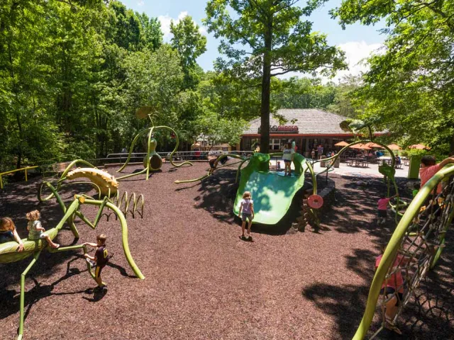 Garden Friends playground with a unique bug and garden theme, which showcases giant leaf slides, large bugs to crawl on and a life sized spider web jungle gym all nested on a mulch covered ground.