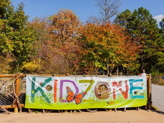 A natural wooden fence covered in vines in front of a wooded area. Attached to the fence is a colorful banner with the text "Kidzone" and images of grass and butterflies.