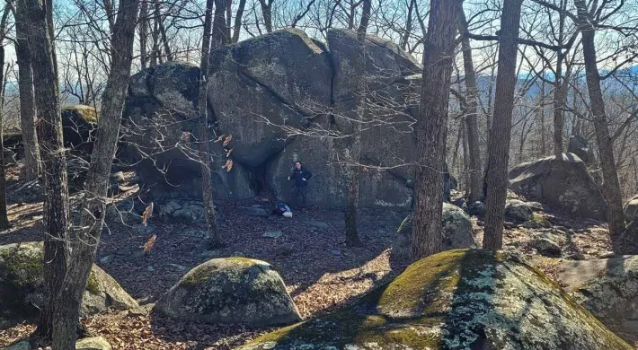  A wide shot shows a wooded area, likely Ridges Mountain Nature Preserve, featuring large, moss-covered rocks and bare trees. A person is visible among the rocks.