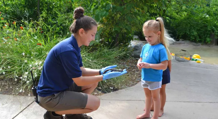 a person wearing a dark blue NC Zoo uniform and blue latex gloves crouches down on a sidewalk and holds a Salamander towards a young girl in a blue shirt. They appear to be explaining something to the child. A well-kept garden is visible in the background.