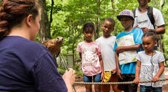 A woman with red hair, wearing a navy blue shirt, is holding a small, brown hawk on her gloved hand and talking to a group of four children and a man. The group is standing behind a rope barrier in a wooded area, all looking at the hawk.