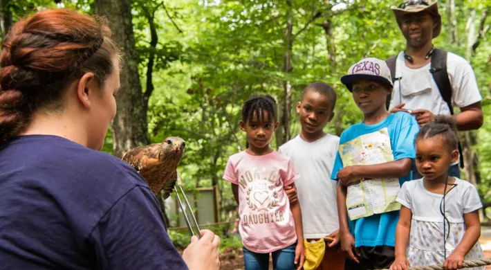 A woman with red hair, wearing a navy blue shirt, is holding a small, brown hawk on her gloved hand and talking to a group of four children and a man. The group is standing behind a rope barrier in a wooded area, all looking at the hawk.