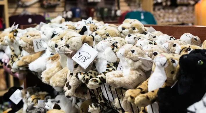 A view of a warmly lit giftshop with the focus on a display of stuffed animals of all shapes and sizes. In the background, viewers can see a shop counter and shelves displaying other items.