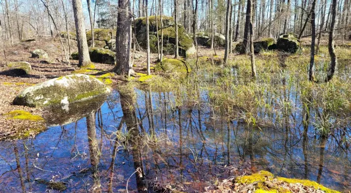 A forested environment with the focus on a group of five gigantic boulders and a bunch of smaller rocks, giving the impression of mountainous terrain. A large puddle is in the foreground with tall grass growing in it, and reflecting the image of the sky.