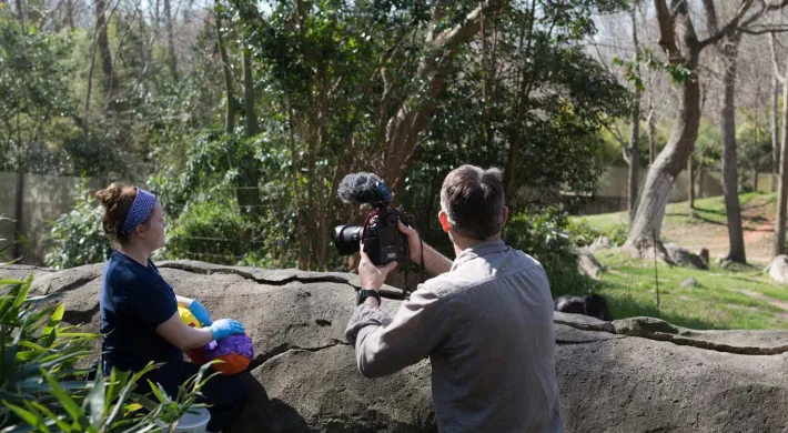 A female zookeeper stands next to a man who appears to be filming her interacting with an animal habitat. There is a large rock wall in front of them, overlooking a grassy field that is sprinkled with trees and boulders throughout the background.