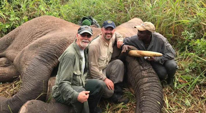 Three men are squatting and posing for a photo next to a sleeping elephant lying on its side in a field of tall grass.. The man on the left is Caucasian with a gray beard and a green cap. The middle man is also Caucasian with a navy cap. The man on the right is Black with one hand on the elephant's tusk. All three men are wearing outdoor clothing.