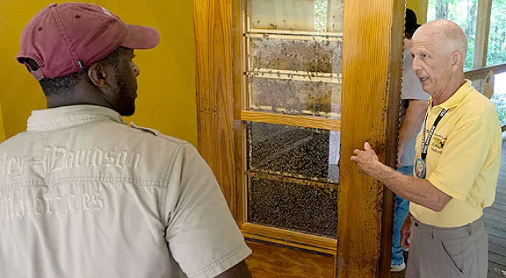 A volunteer is sharing information about honey bees in front of a live bee hive contained in a large wooden box with windows allowing people to see inside..