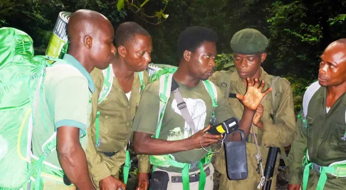 Five men, wearing matching short-sleeved green ranger uniforms and shoulder bags, stand close together in a dense forest or jungle environment. They are looking intently at a small electronic device, likely a smartphone or GPS unit, held by the man on the left. The ground beneath them is a dirt path, and lush green foliage surrounds them.