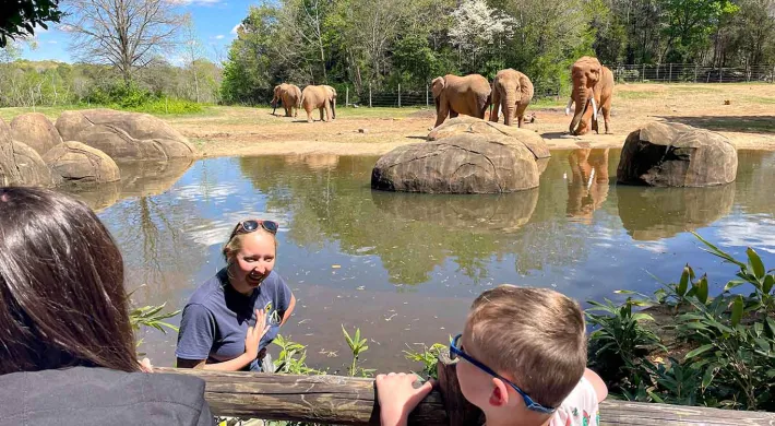 A keeper speaking with guests while elephants gather across a pond.