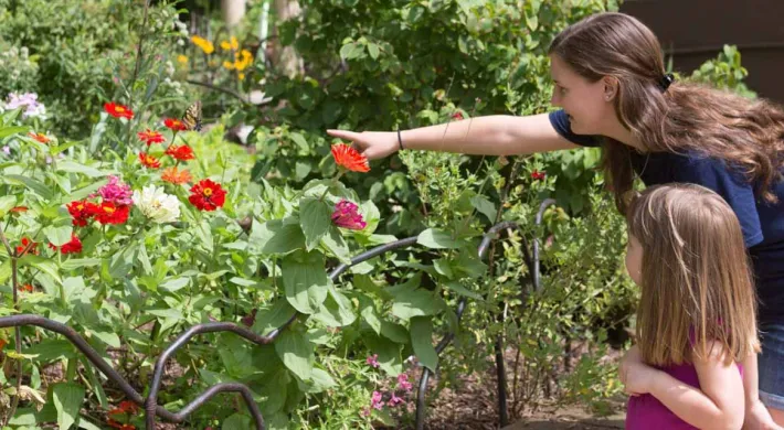 A young woman is leaning down and pointing out a red and orange zinnia flower to a small child in a brightly lit, colorful garden.