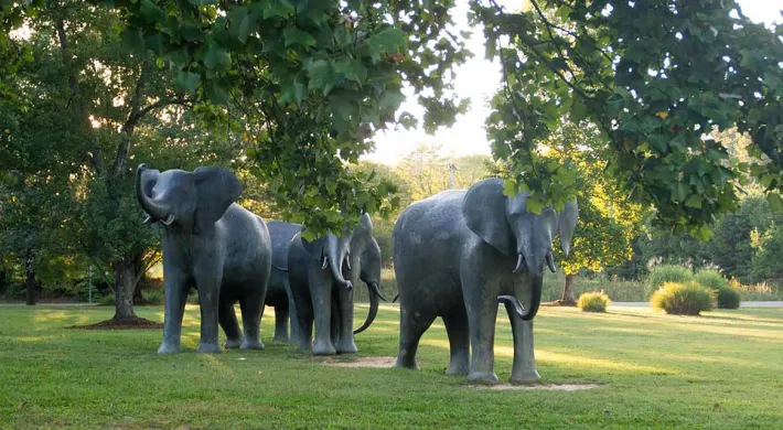 Four life-sized bronze statues of an Elephant herd. The animals are rendered in motion, appearing to walk and raise their trunks in the air.