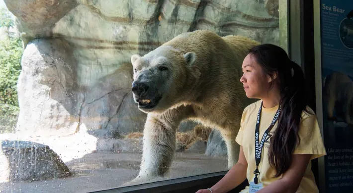 A woman with long, dark hair sits holding a red tablet next to a large window that looks into a Polar Bear habitat. The giant, white bear is standing next to the glass in a rocky cave, with its face parallel to the woman.
