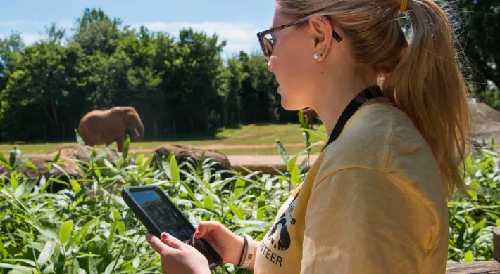 A close-up of a blonde zoo volunteer (wearing a yellow shirt and sunglasses) looking down and using a tablet. In the blurry background, an African elephant is visible in its habitat.