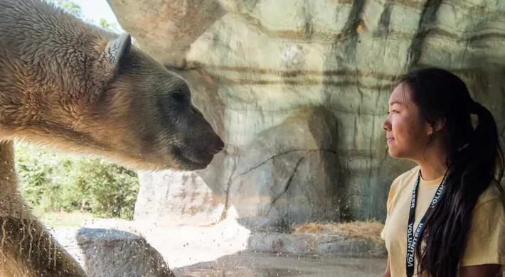 A young woman with long, dark hair pulled back in a ponytail is looking through a large glass panel into an animal enclosure. Right next to the glass, a Polar Bear with white fur is walking toward the viewer, with its head slightly lowered and its mouth open. The background of the enclosure is a rocky, light-colored habitat.