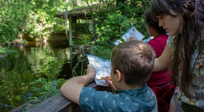 A mother helps her son with a Zoo Trekker activity at the alligator habitat.
